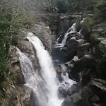 Geres Do Alibaba Ruivaes