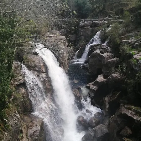 Alibaba Do Gerês Ruivaes