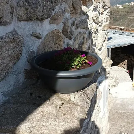 Alibaba Do Gerês * Ruivaes