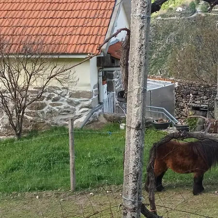 Hébergement de vacances Alibaba Do Gerês *