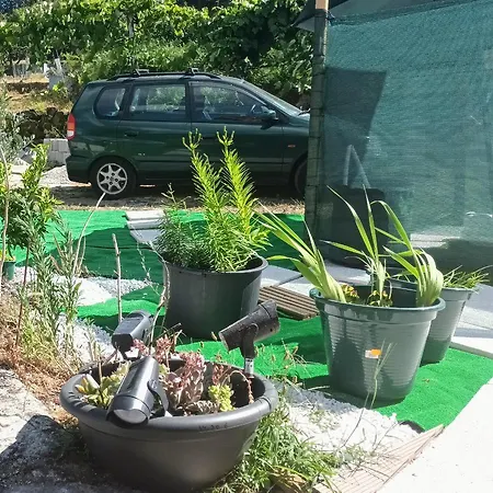 Alibaba Do Gerês Ruivaes