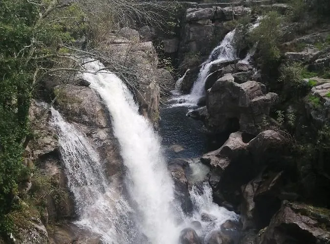 Geres Do Alibaba Ruivaes