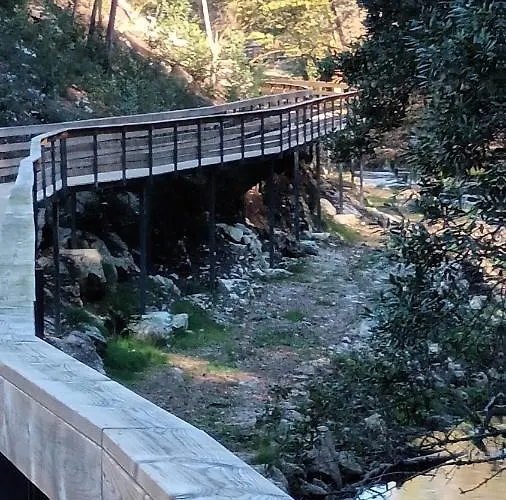 Geres Do Alibaba * Ruivaes