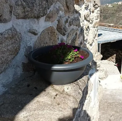 Geres Do Alibaba * Ruivaes