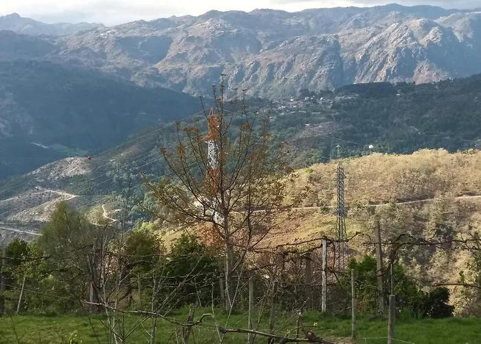 Geres Do Alibaba بيت للعطل