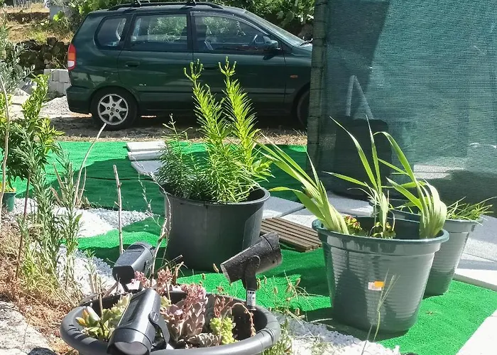 Geres Do Alibaba Ruivaes